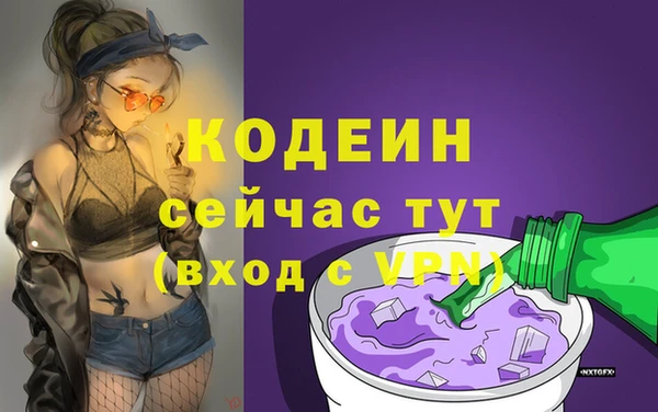 a pvp Няндома